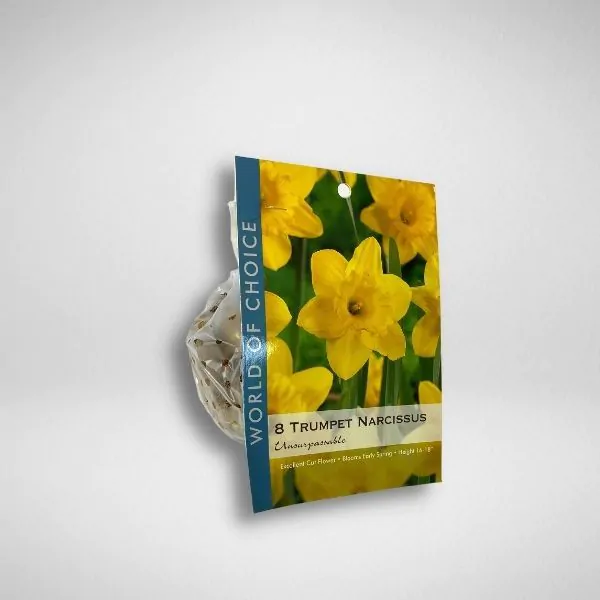 unsurpassable daffodil
