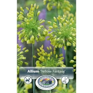 yellow fantasy allium